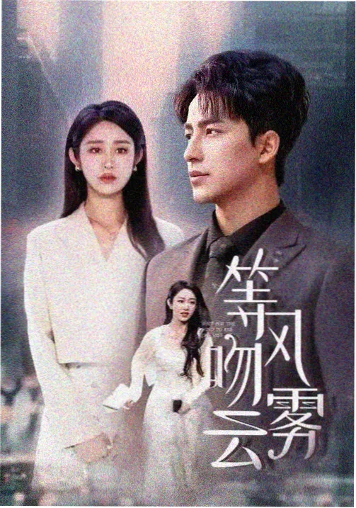 暗涌之城电视剧在线看海报